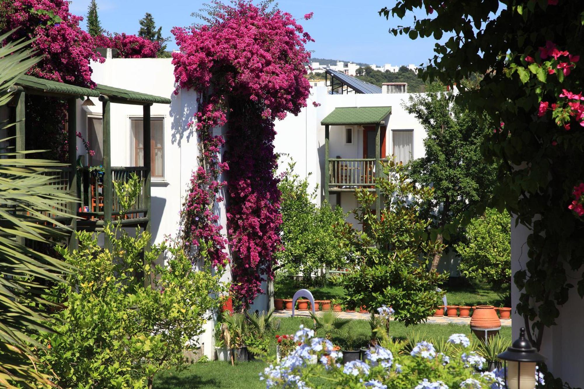 Parkim Ayaz Hotel Gümbet Kültér fotó